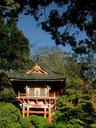 Tea Garden gate.